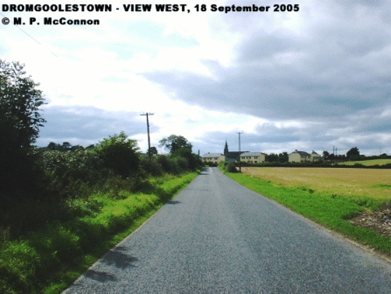 Dromgoolestown Townland, County Louth