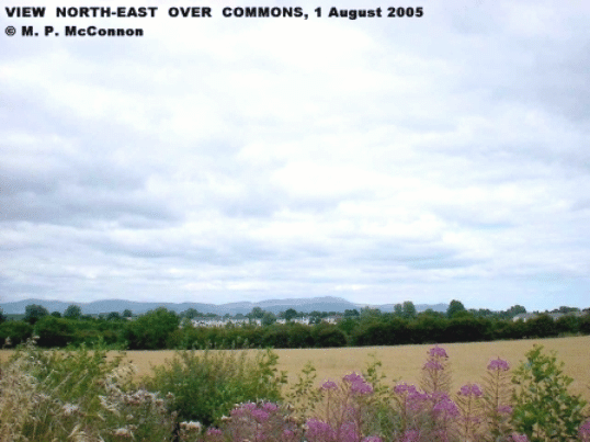 Whiterath Townland, County Louth